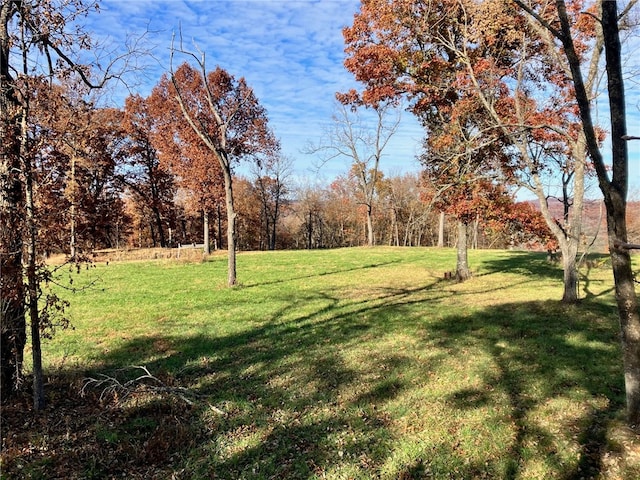 Dam Site Rd, Garfield, AR 72732 - photo 56