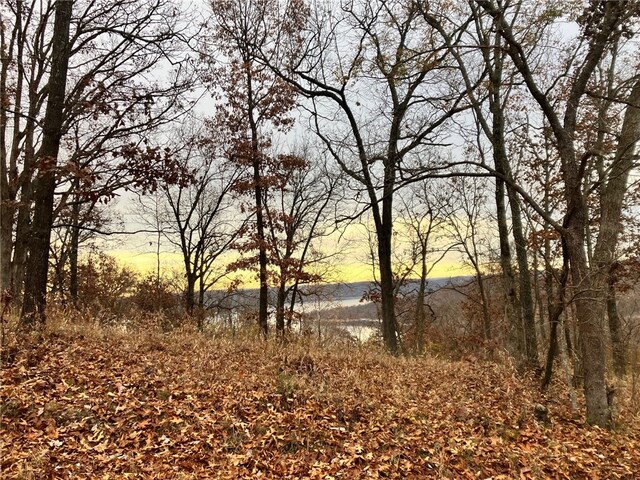 Dam Site Rd, Garfield, AR 72732 - photo 5