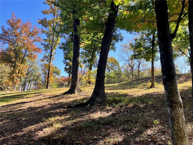 Dam Site Rd, Garfield, AR 72732 - photo 57