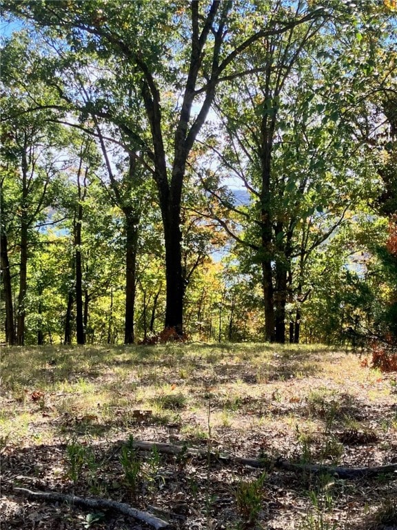 Dam Site Rd, Garfield, AR 72732 - photo 58