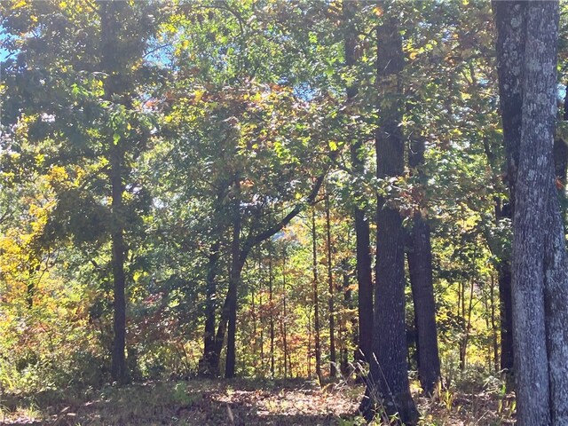 Dam Site Rd, Garfield, AR 72732 - photo 59