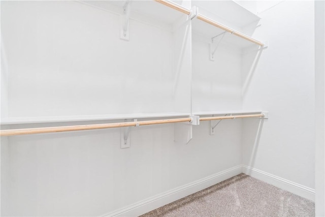 walk in closet featuring carpet flooring