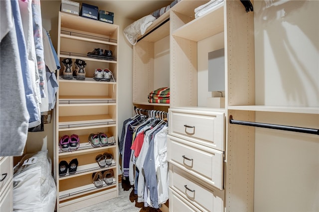 view of walk in closet