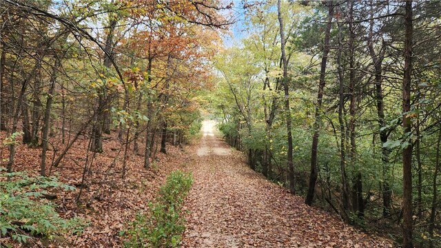 3240 Old Farmington Rd, Fayetteville, AR 72704 - photo 4