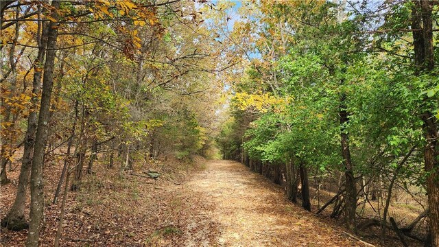 3240 Old Farmington Rd, Fayetteville, AR 72704 - photo 5