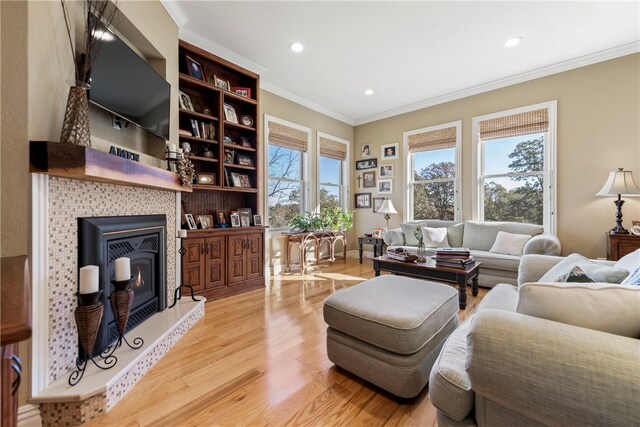 living room featuring light hardwood / wood-style floors and crown molding