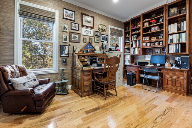 office space featuring crown molding, light hardwood / wood-style flooring, and a healthy amount of sunlight