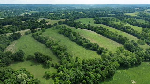 bird's eye view with a rural view