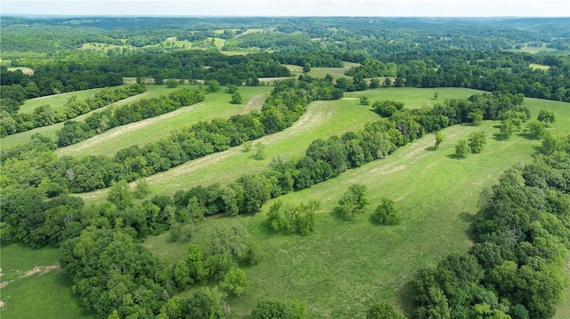17530 Ellis Crossing Rd, Garfield, AR 72732 - photo 53