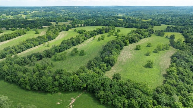 birds eye view of property featuring a rural view