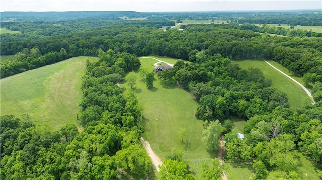 bird's eye view