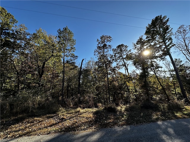 Listing photo 2 for BLOCK3LOT4 Buckden Ln, Bella Vista AR 72715