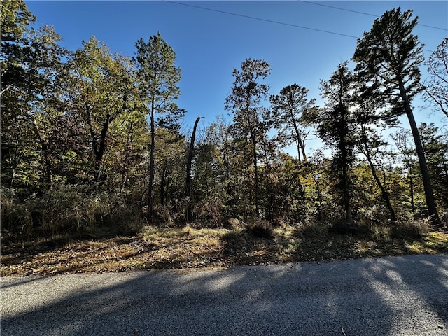 Listing photo 3 for BLOCK3LOT4 Buckden Ln, Bella Vista AR 72715