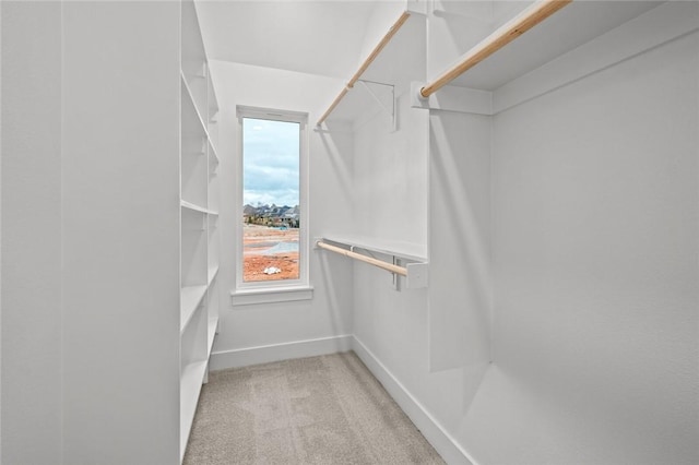 3058 W Berkeley Ave, Rogers, AR 72758 - spacious closet featuring light colored carpet