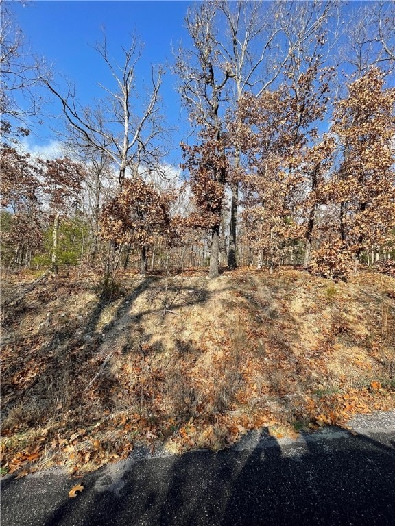 LOT17 Amble Dr, Bella Vista, AR 72714 - photo 2