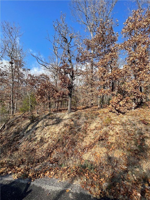 LOT17 Amble Dr, Bella Vista, AR 72714 - photo 4
