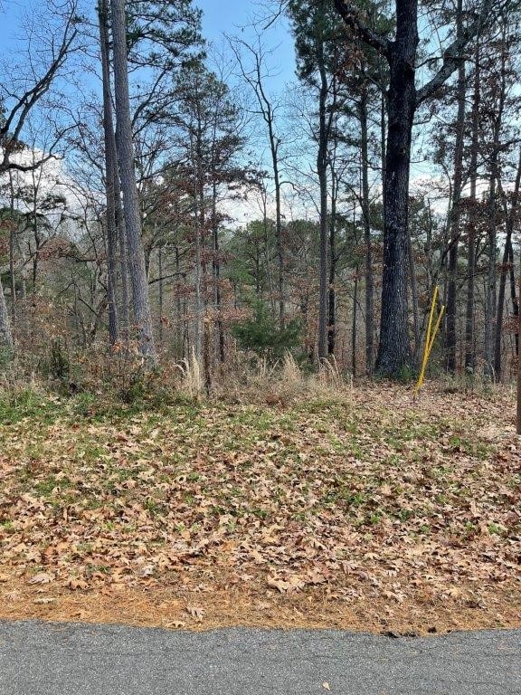 Listing photo 2 for LOT35 Fleetwood Dr, Bella Vista AR 72714