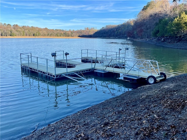 dock area featuring a water view