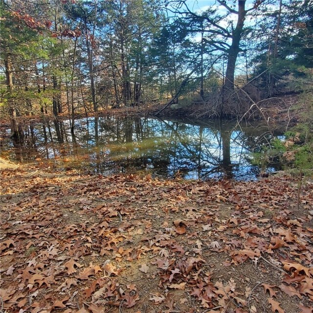 view of water feature