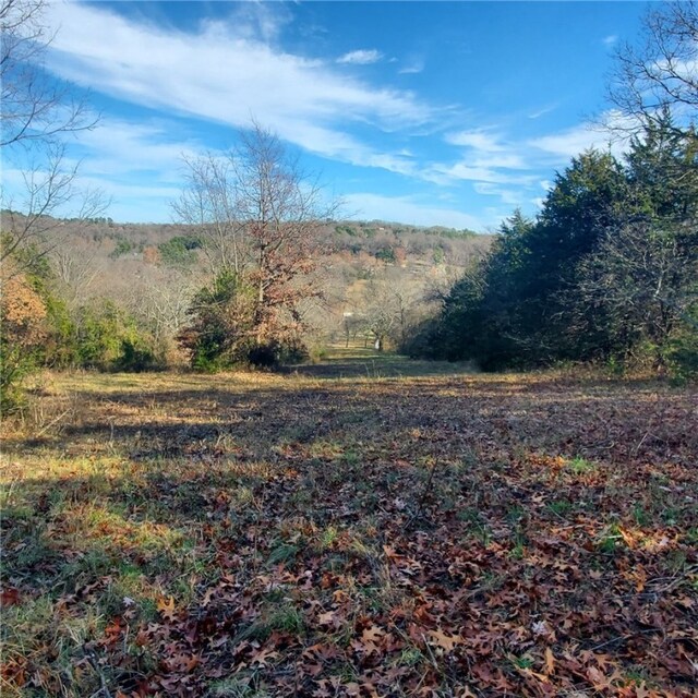 view of local wilderness with a forest view