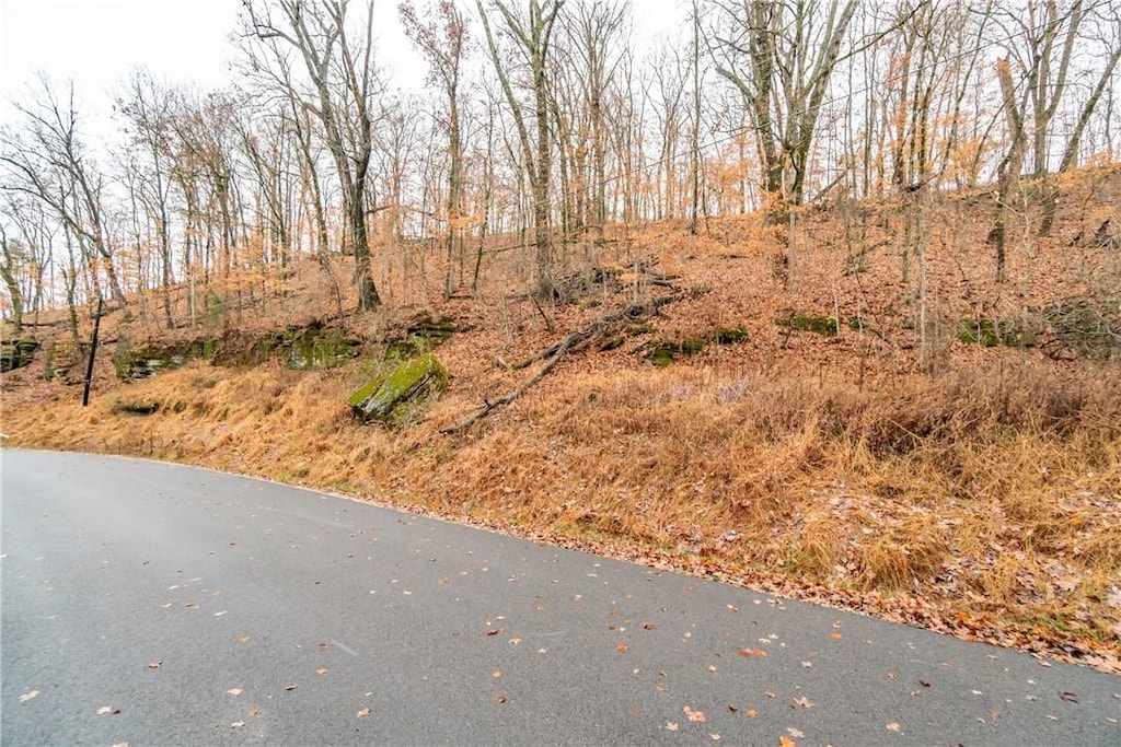 TBD NW Holiday Island Dr Unit 6, Eureka Springs, AR 72631