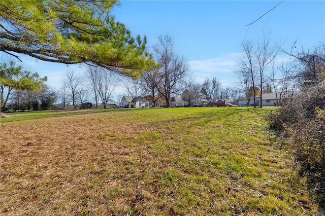 view of yard featuring a residential view