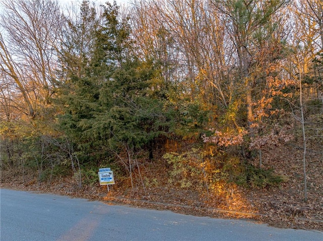 Listing photo 3 for LOT19 N Karyn Dr, Fayetteville AR 72703