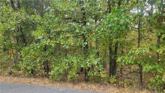 Listing photo 2 for LOT24, BLOCK1 Cromarty Dr, Bella Vista AR 72715