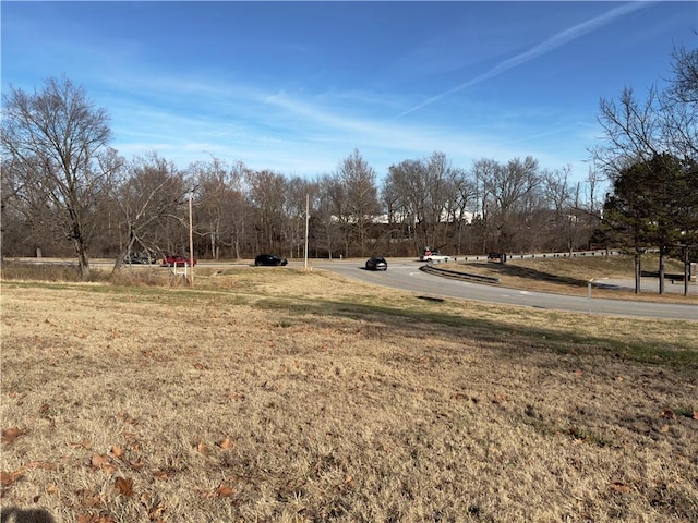 324 S 52nd St, Rogers, AR 72758 - photo 6