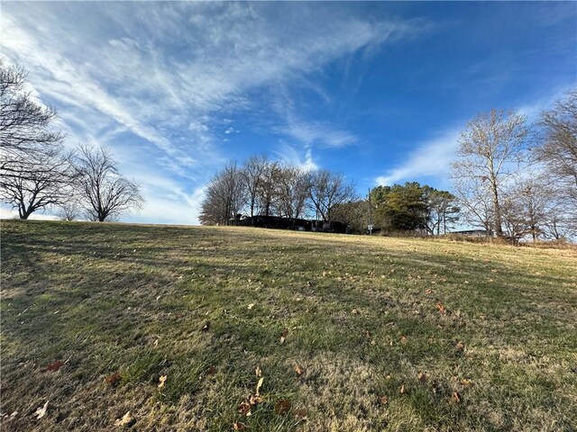 324 S 52nd St, Rogers, AR 72758 - photo 8