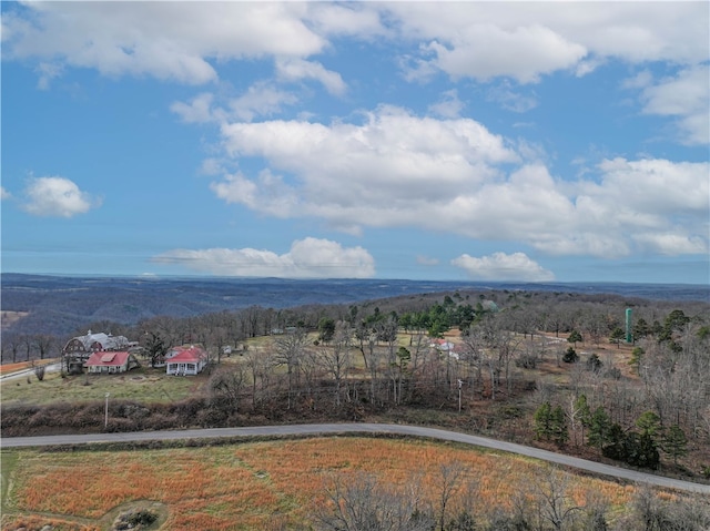 property view of mountains with a rural view