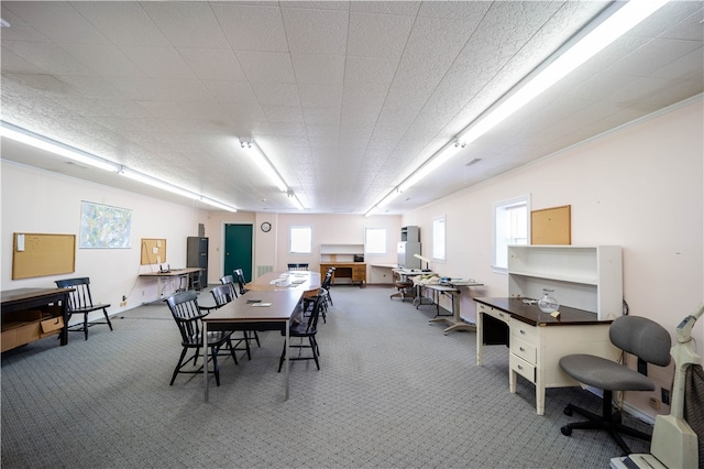 interior space with carpet flooring