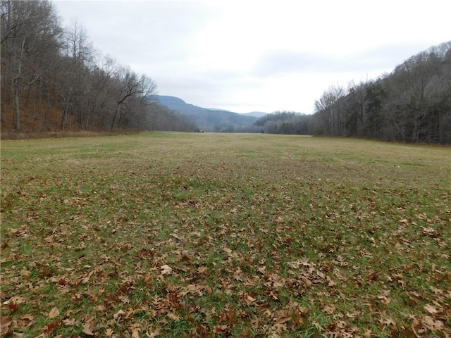 Listing photo 2 for NC-8330, Jasper AR 72641