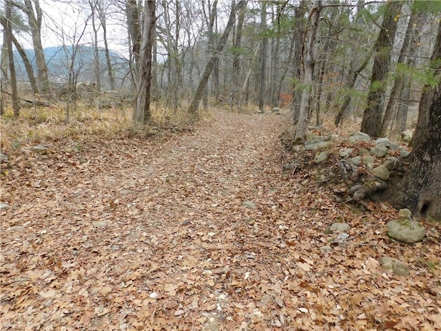 NC-8330, Jasper, AR 72641