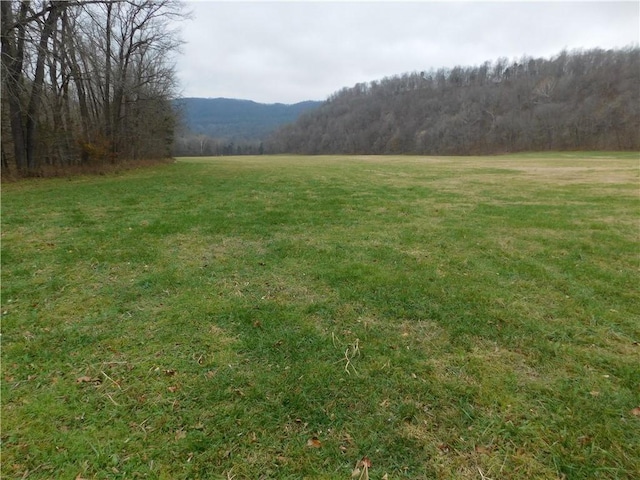 NC-8330, Jasper, AR 72641