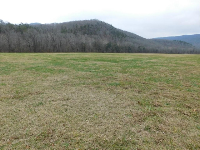 NC-8330, Jasper, AR 72641