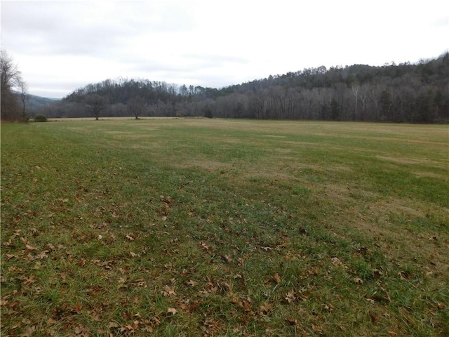 NC-8330, Jasper, AR 72641