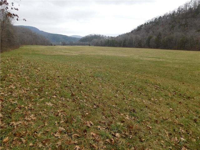 NC-8330, Jasper, AR 72641