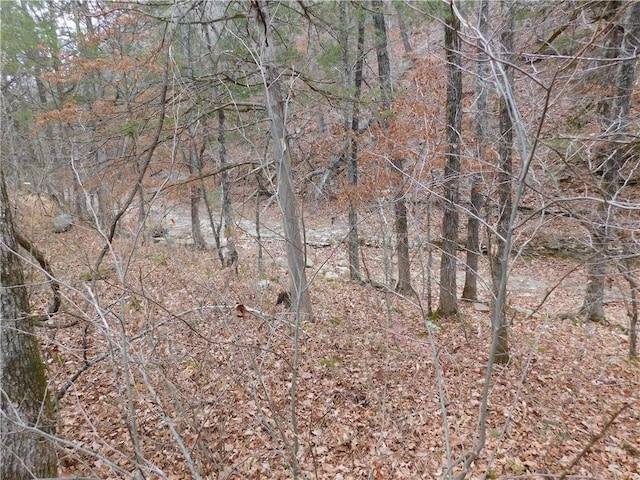 NC-8330, Jasper, AR 72641