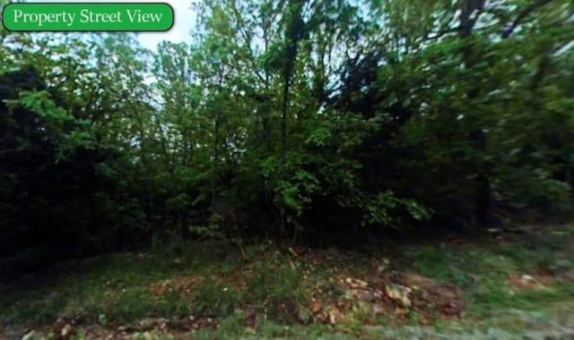 1001 Prairie Dr, Horseshoe Bend AR, 72512 land for sale