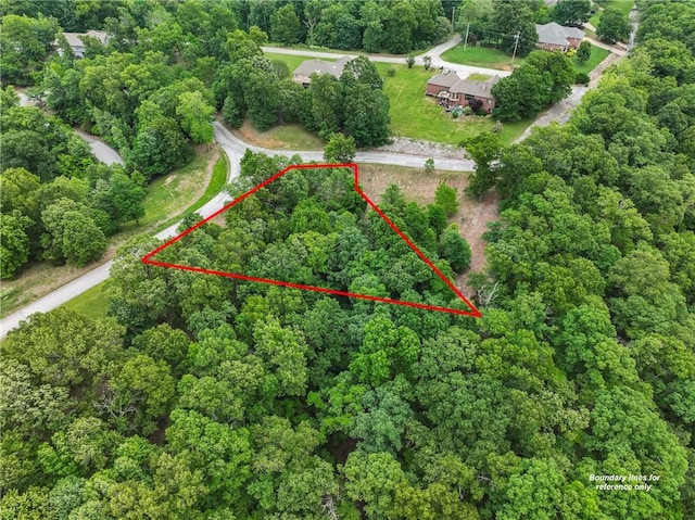 Mountain Lake Ct, Rogers, AR 72756 - photo 3