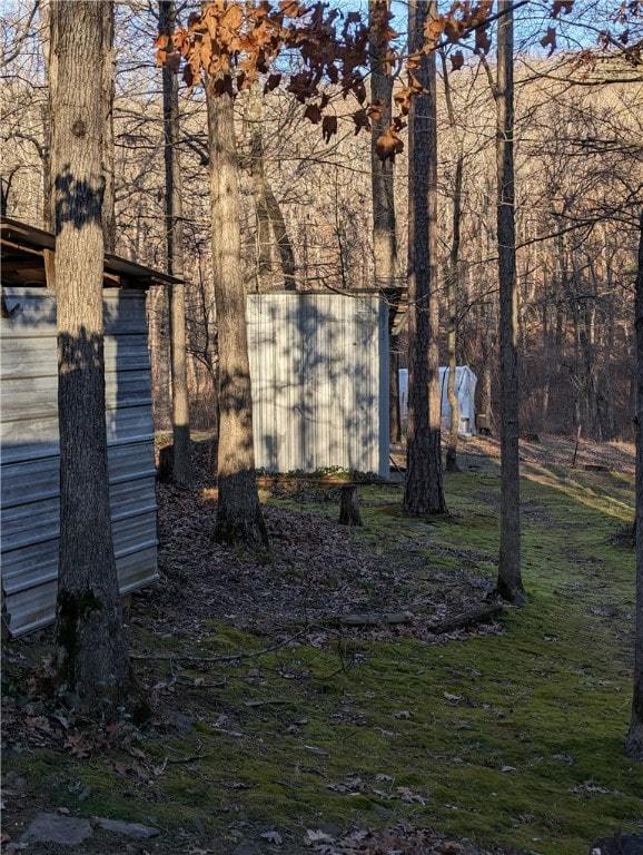 view of yard with an outdoor structure