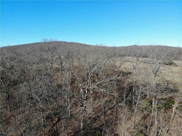 11567 Brubaker, West Fork, AR 72774