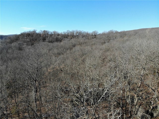 11567 Brubaker, West Fork, AR 72774
