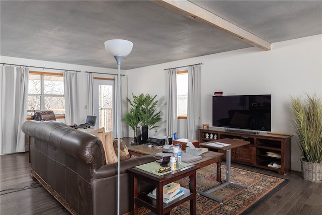 living room featuring beam ceiling and dark hardwood / wood-style flooring