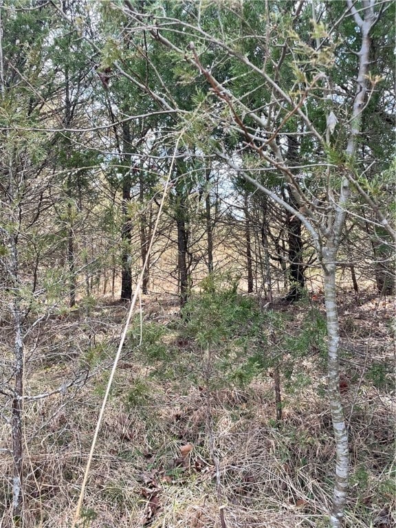 2 Clover, Holiday Island AR, 72631 land for sale