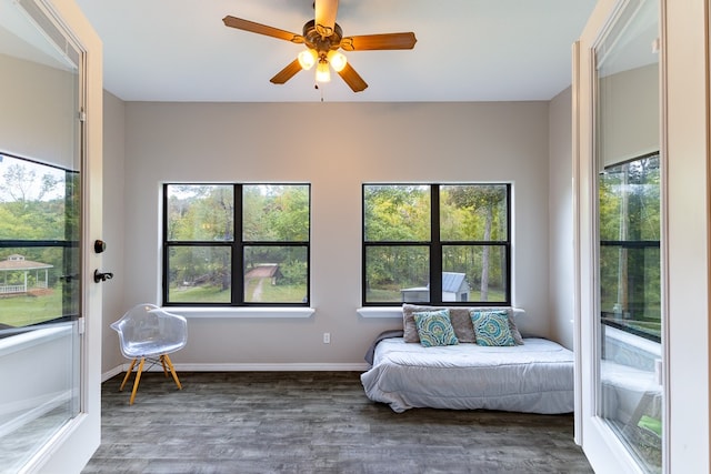 bedroom featuring ceiling fan, multiple windows, and dark wood-type flooring