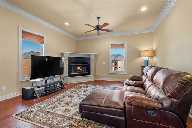 living room featuring dark hardwood / wood-style flooring, ceiling fan, and ornamental molding