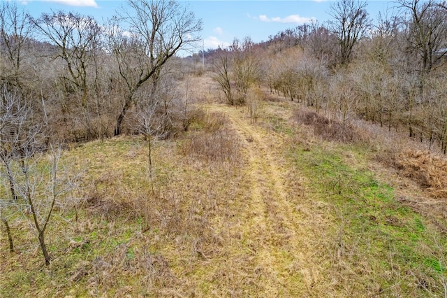 Puppy Creek Rd, Lowell, AR 72745 - photo 9