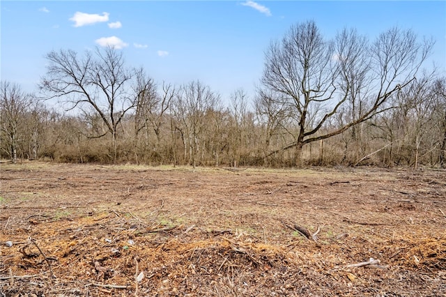 Puppy Creek Rd, Lowell, AR 72745 - photo 10